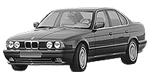 BMW E34 P010C Fault Code
